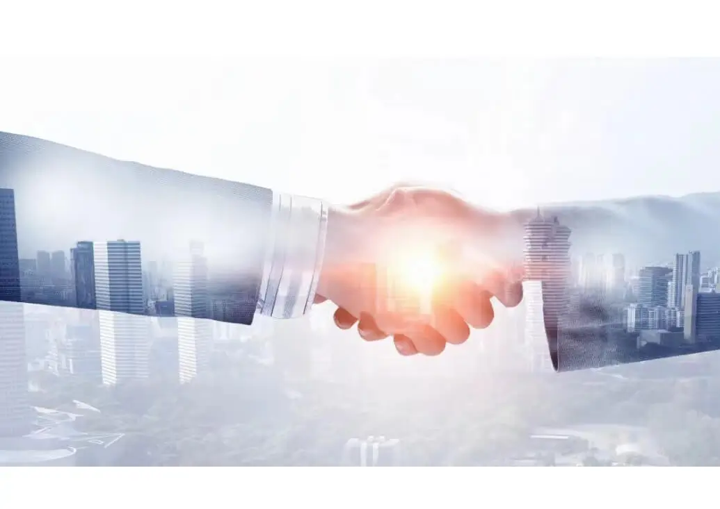 根雕制作教程全攻略