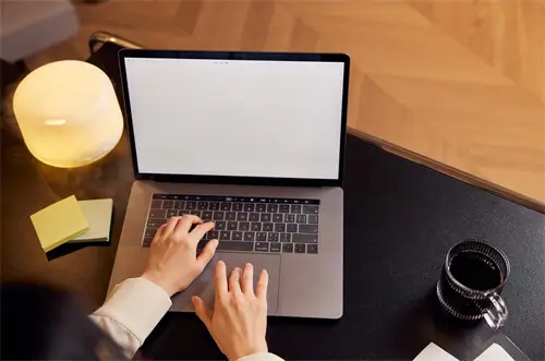 花鸟岛酒店优惠攻略图